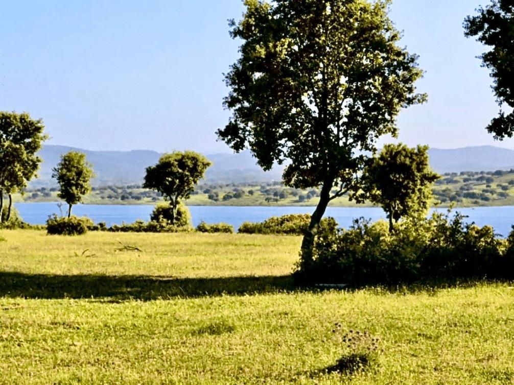 Finca Shenonkop Hotel Rural Навальмораль-де-ла-Мата Екстер'єр фото